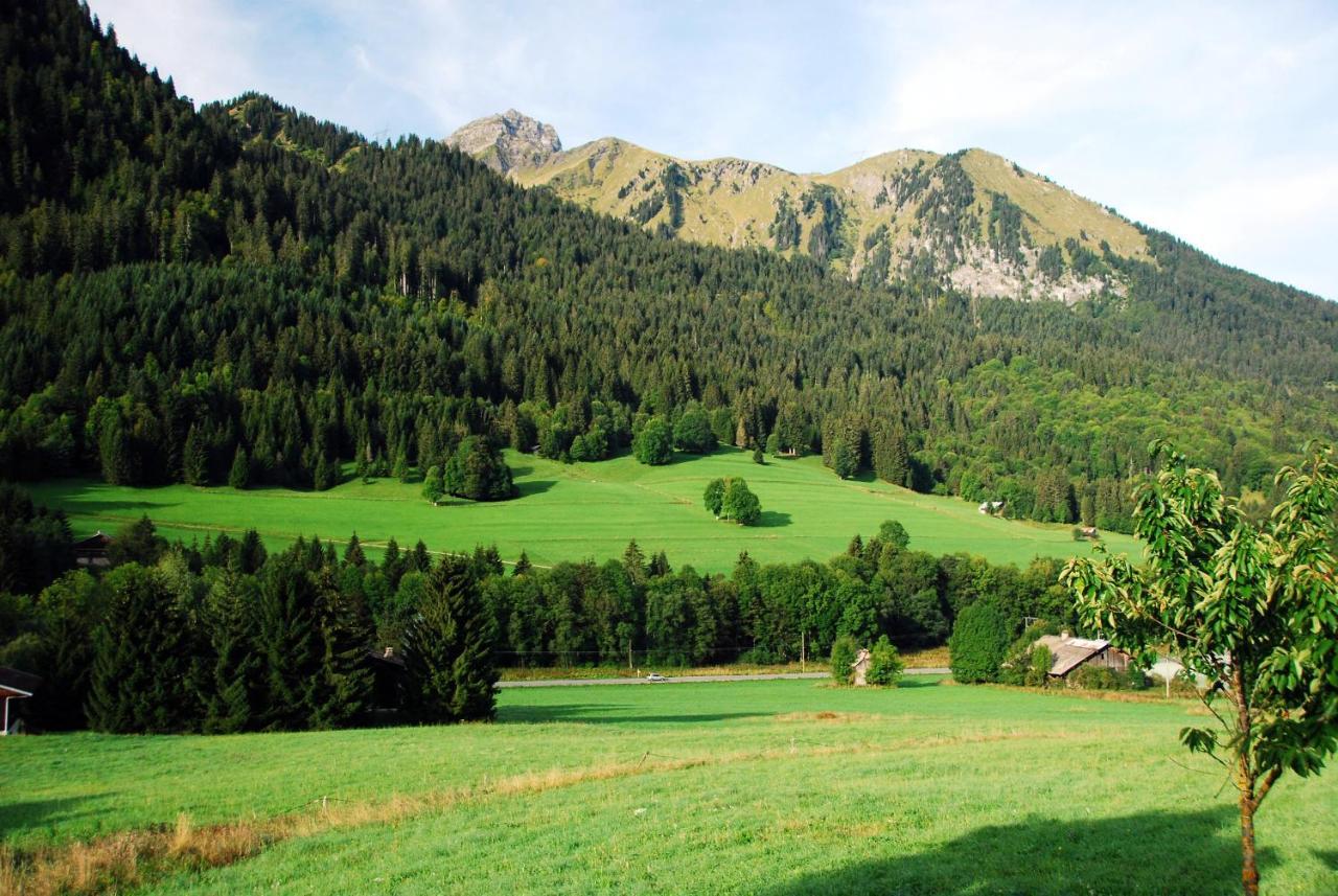 Chalet Cannelle Bed & Breakfast Châtel Eksteriør bilde