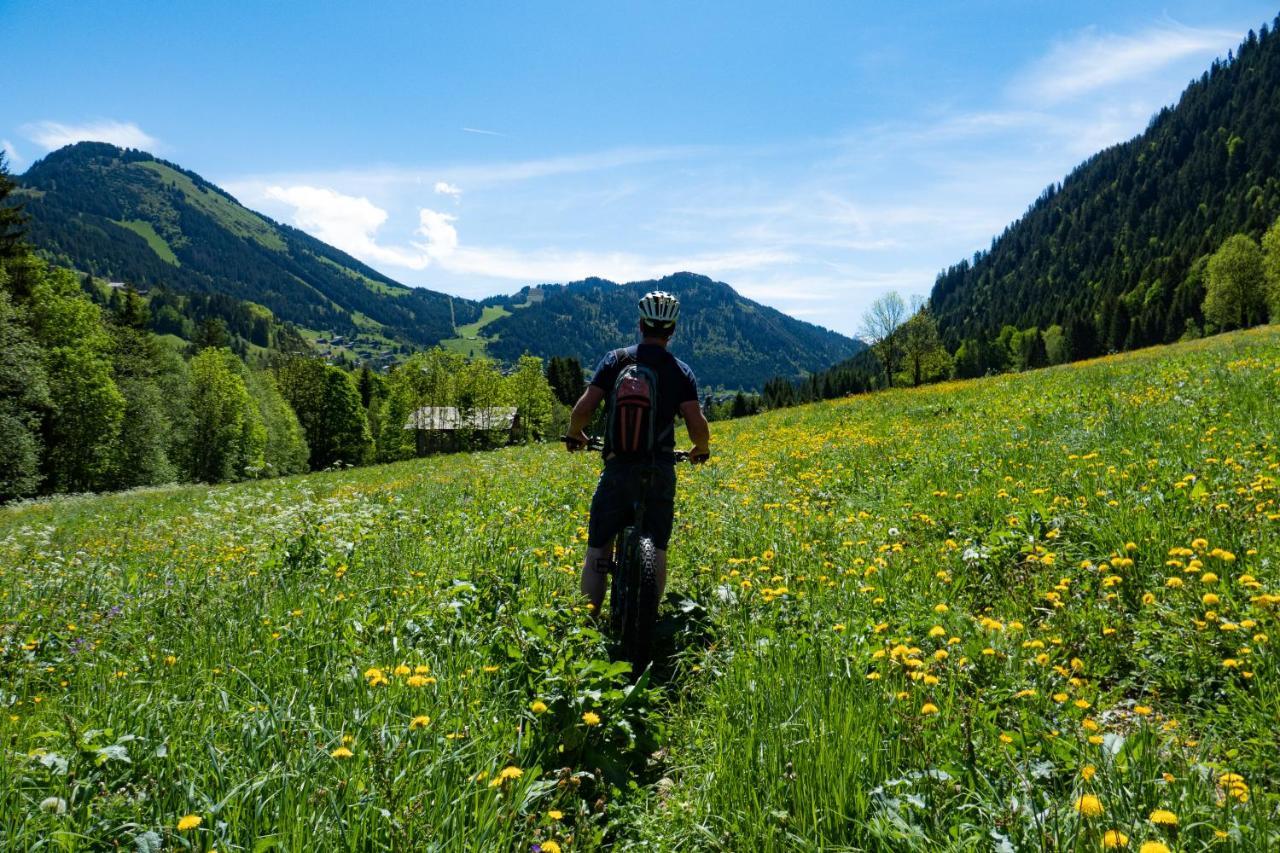 Chalet Cannelle Bed & Breakfast Châtel Eksteriør bilde