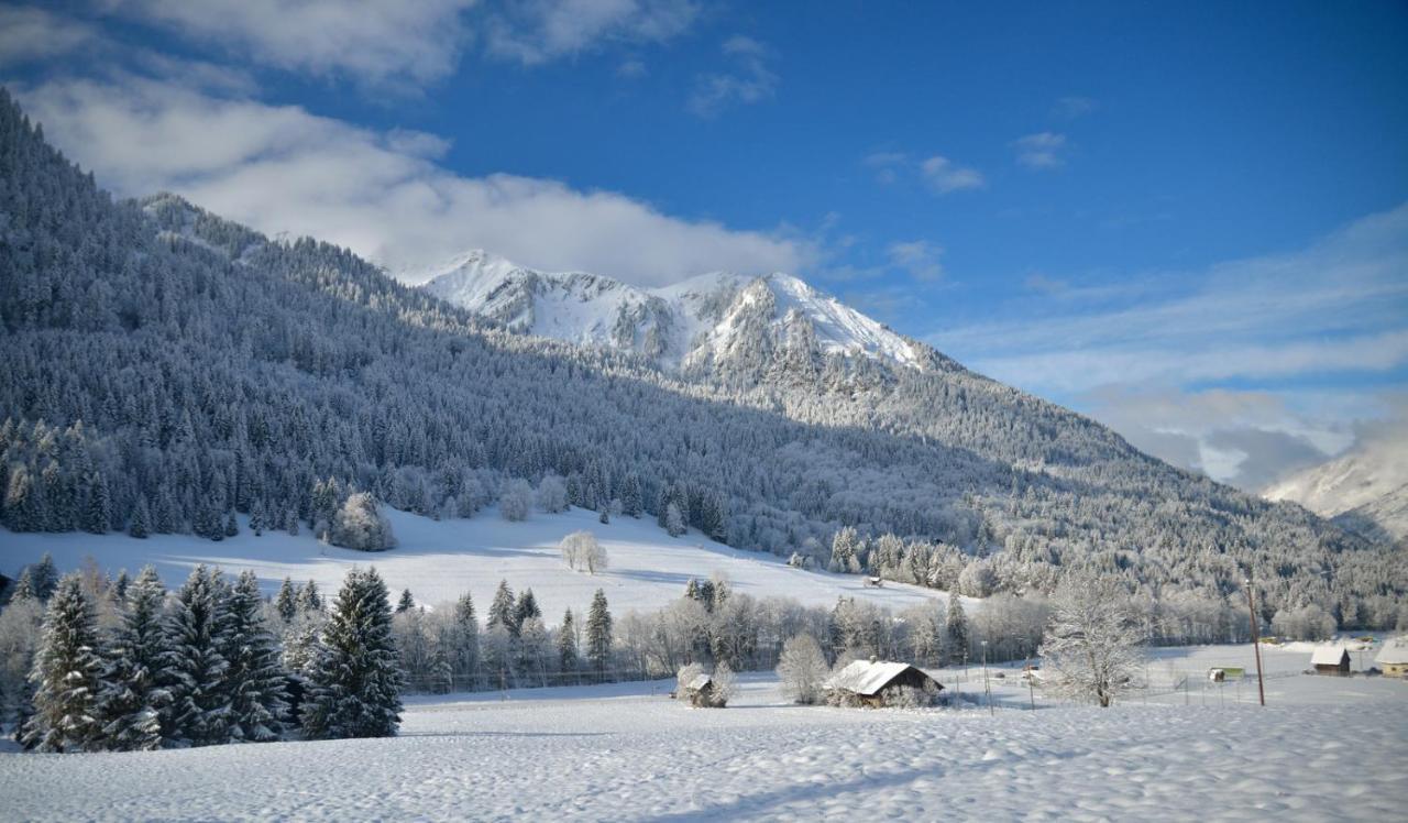 Chalet Cannelle Bed & Breakfast Châtel Eksteriør bilde