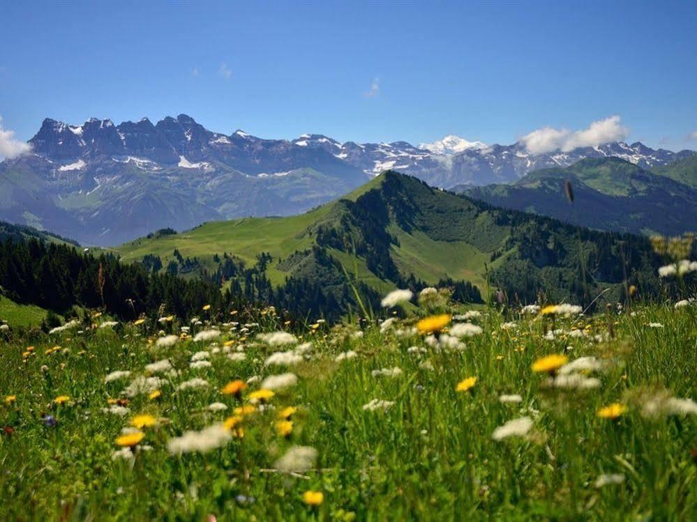 Chalet Cannelle Bed & Breakfast Châtel Eksteriør bilde